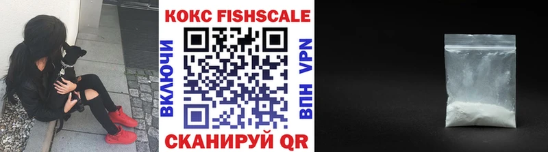 Кокаин Fish Scale как найти наркотики hydra рабочий сайт Павловск