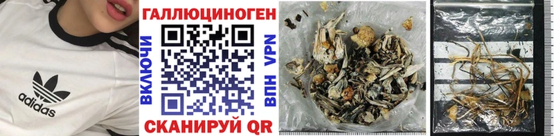 Псилоцибиновые грибы Psilocybe  мега зеркало  это состав  купить   Павловск 